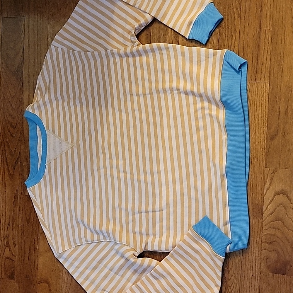 We The Free Peach and White Striped Hoodie with Blue Trim - Picture 5 of 5